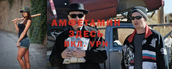 мдпв Алексин