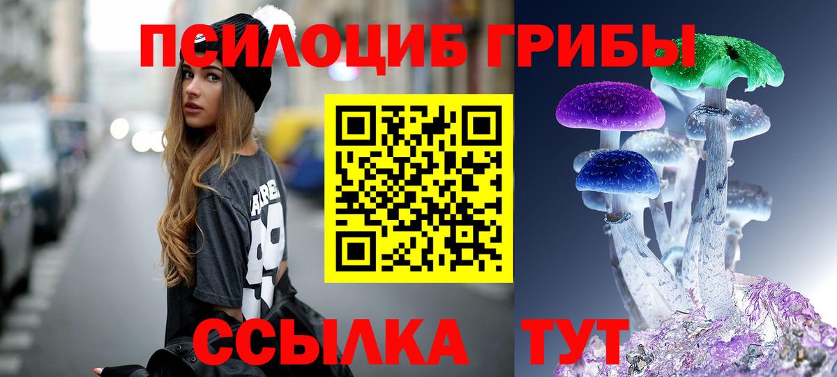 Гуково  Галлюциногенные грибы Cubensis  Вход с VPN 